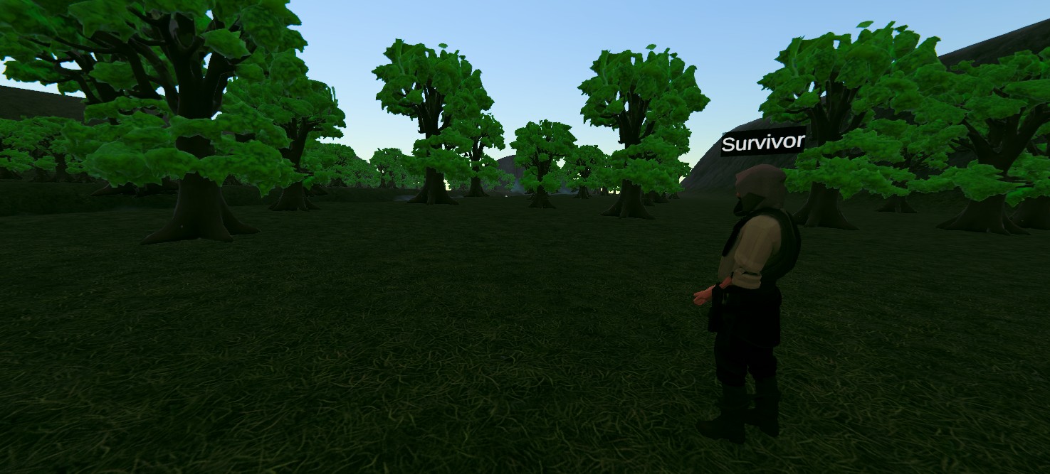 Meeting a survivor in the Worldis wilderness with the Survivor label visible